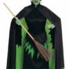The Wizard Of Oz Wicked Witch Adult Costume -About Costume Sales Shop 108