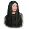 Morticia Adult Wig -About Costume Sales Shop 21015