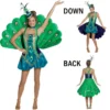 Peacock Adult 1 Peacock Adult -About Costume Sales Shop 21248