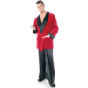 Playboy Hugh's Smoking Jacket Adult Costume -About Costume Sales Shop 21965