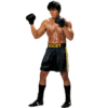 Rocky Balboa Rocky Adult Costume -About Costume Sales Shop 31739