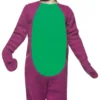 Barney And Friends-Barney Infant Costume -About Costume Sales Shop 32400