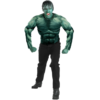 The Incredible Hulk 2008 Movie Muscle Chest Hulk Adult Costume -About Costume Sales Shop 32916