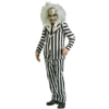 Beetlejuice Adult Costume -About Costume Sales Shop 33058