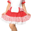 Diner Delight Plus Adult Costume -About Costume Sales Shop 34003