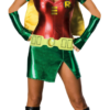Sexy Robin Adult Costume -About Costume Sales Shop 34160