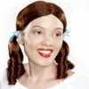 Midwestern Lady Adult Wig -About Costume Sales Shop 34539