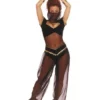 Sultan's Secret Adult Costume -About Costume Sales Shop 549 768 ur28700