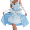 Cinderella Prestige Adult Costume 2 Cinderella Prestige Adult Costume -About Costume Sales Shop 60402 1