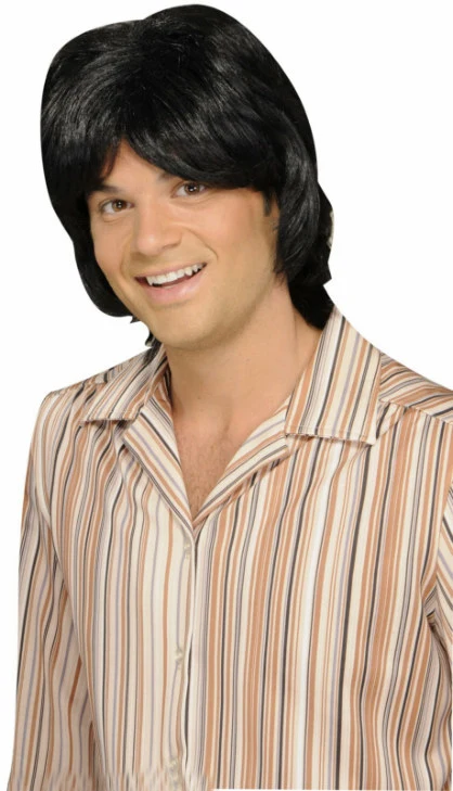 70's Teen Heart Throb Adult Wig 3 70's Teen Heart Throb Adult Wig