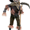 The Wicked Of Oz Skarecrow Adult Costume -About Costume Sales Shop 61590