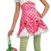 Strawberry Shortcake - Strawberry Shortcake Tween Costume -About Costume Sales Shop 65530 scaled