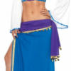 Seductive Gypsy Adult Costume -About Costume Sales Shop 68416