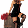 Dance Hall Adult Costume -About Costume Sales Shop 70265