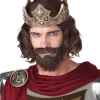 Medieval King (Brown) Adult Wig -About Costume Sales Shop 802120