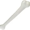 Jumbo Cave Bone -About Costume Sales Shop a jumbo caveman bone