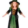 Miss Witch Toddler Costume -About Costume Sales Shop fw110681fix