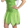 Ladies Tinkerbell Costume -About Costume Sales Shop ladies tinkerbell costume