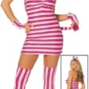 Adult Sexy Cheshire Cat Costume -About Costume Sales Shop sexy cheshire cat